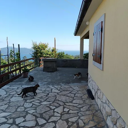 Vacation Marinici Daire *