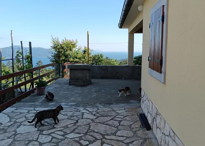 Vacation Marinici Appartement *